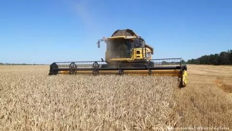 Nouvelle baisse des prix du blé dans le monde après une hausse record