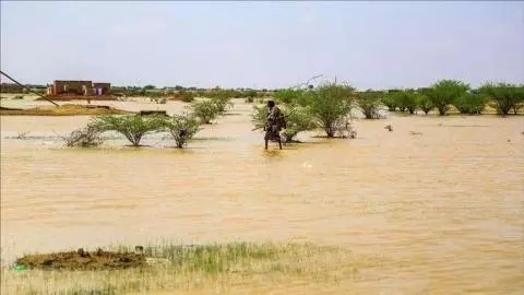 Prévision de faibles activités pluvio-orageuses au niveau de 4 wilayas