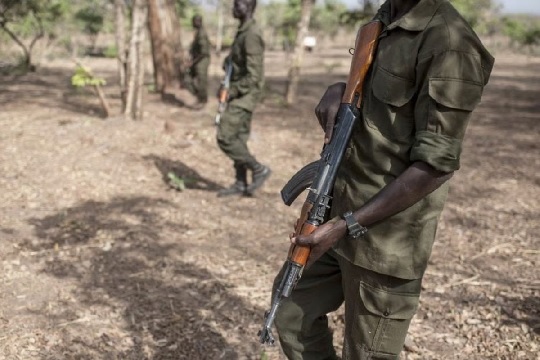 Des fonctionnaires gouvernementaux et des militaires tués au Niger