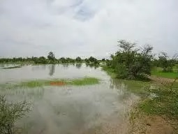 Des pluies de 180 mm par endroit enregistrées dans trois wilayas …hauteurs