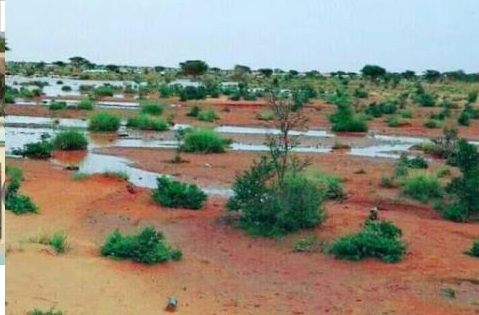 La météo prévoit des pluies sur des wilayas de l'intérieur et Nouakchott