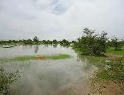 Pluies de 14 mm sur les wilayas du Hodh Charghi et du Guidimakha