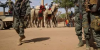 Mali: Au moins 16 morts dans deux attaques de campements nomades