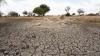 La sécheresse causera d'énormes pertes humaines, avertit l'ONU