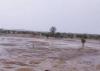 Pluies faibles à moyennes au Hodh Charghi et Hodh Gharbi ... Hauteurs
