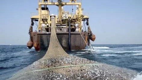 La Mauritanie et l'UE examinent les opportunités de pêche 