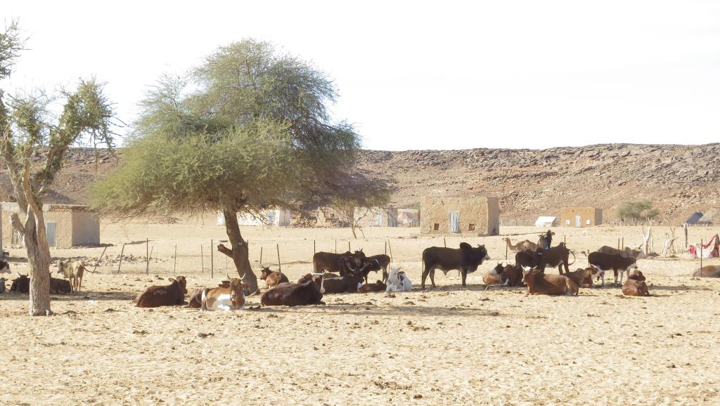 Village de Ouad Initi dans le sud-est de la Mauritanie