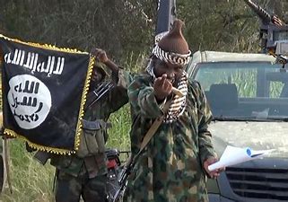 Annonce de la mort du chef de Boko Haram, Abubakar Shekau