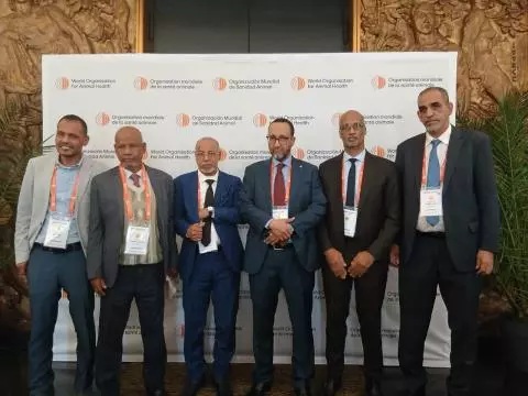 Le ministre de l'élevage participe à la 92e AG de l’OIE à Paris