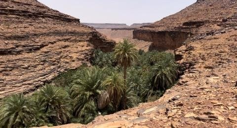 Terjitt... des moments de détente au cœur de la nature … vidéo