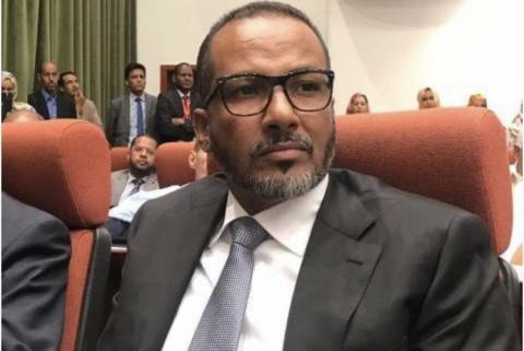 رئيس أرباب العمل الموريتانيين - (أرشيفية)