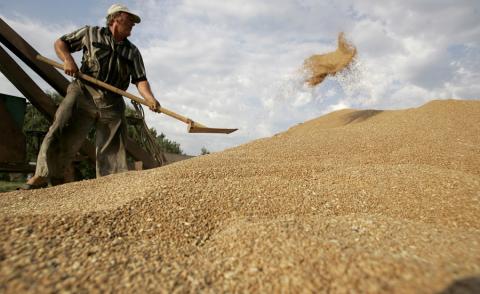 صورة تخدم النص ـ (المصدر: الإنترنت)