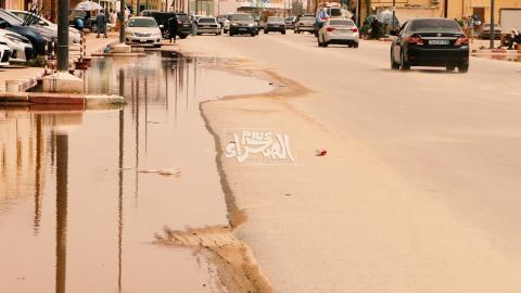 المصدر: أرشيف الصحراء