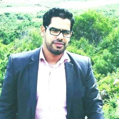 الشاعر د. محمد المامي ولد محمد حامد