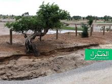 أمطار سابقة بموريتانيا (ارشيف - الصحراء)