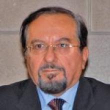 عصام نعمان