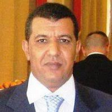 محمد محمود أبو المعالي