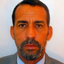محمد الهادي ولد الزين ولد الامام