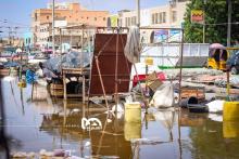 المصدر: الصحراء