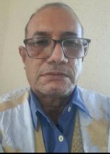 محمد عبد الله ولد بين