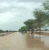 فيضانات شرق موريتانيا (مواقع التواصل الاجتماعي)