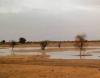 آثار الأمطار في منطقة بولاية لبراكنه اليوم - (المصدر: وسائل التواصل)