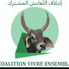 المصدر: (انترنت)