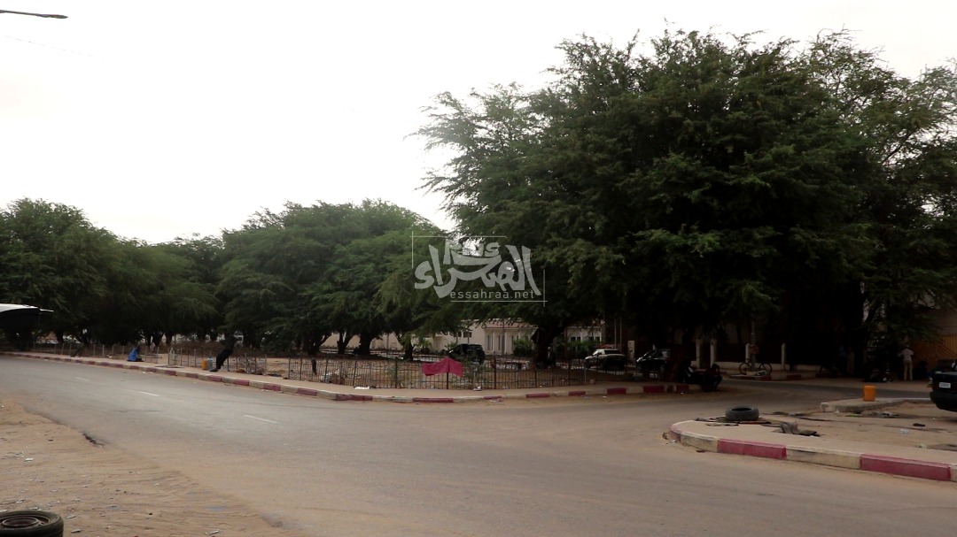 تنظيف السيارات عند "الكنيسة"وسط نواكشوط ـ (المصدر: الصحراء)